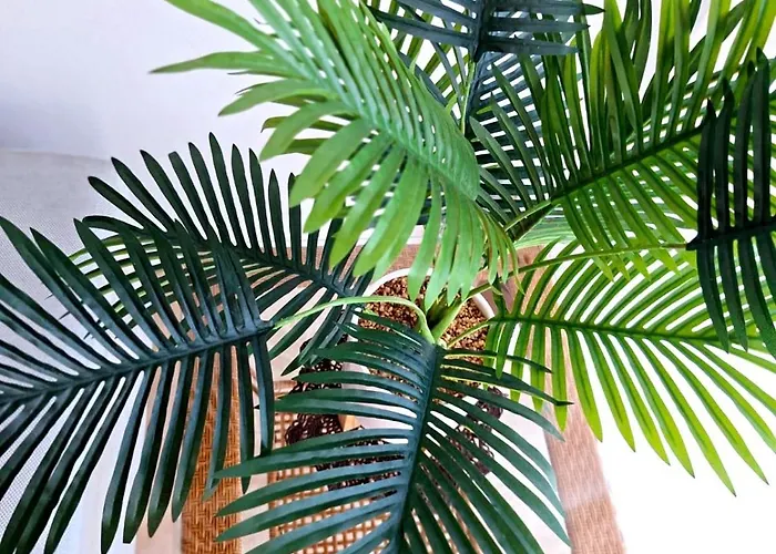 Sunlight Apartman Shkodra