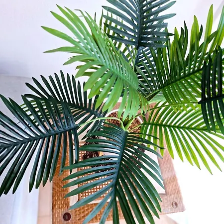 Sunlight アパート Shkodër