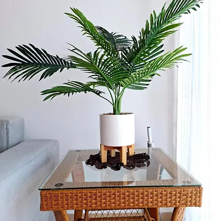 Sunlight アパート *