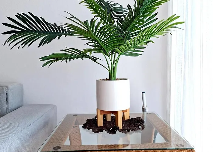 Sunlight Apartment *